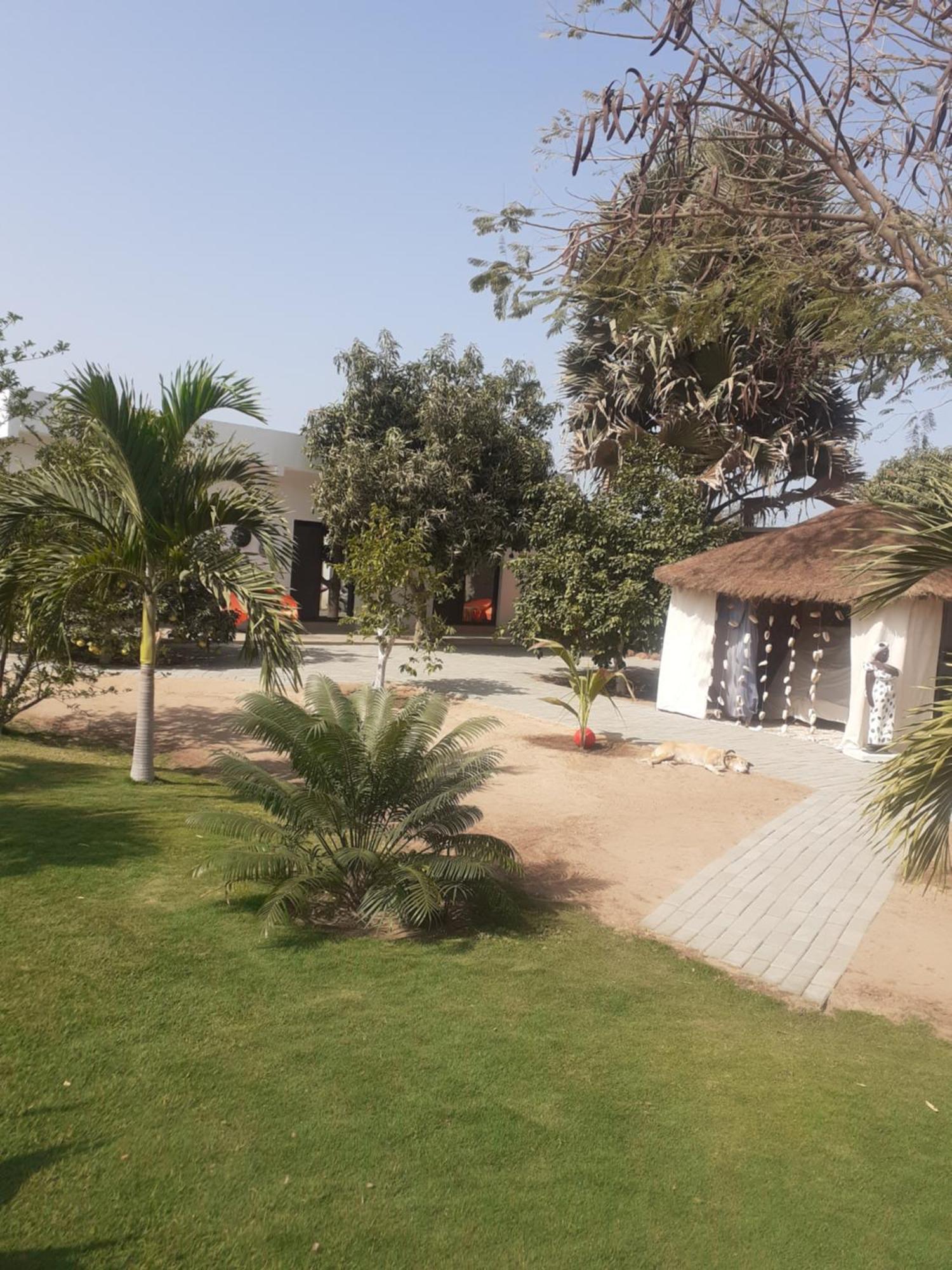 Chambre D'Hote Les Vacanciers Nianing Dış mekan fotoğraf